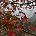 20160111_133549.jpg