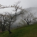 20160111_133901.jpg