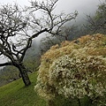 20160111_134328.jpg
