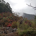 20160111_134621.jpg