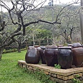 20160111_135533.jpg