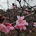 20160111_140035.jpg