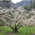 20160111_141734.jpg