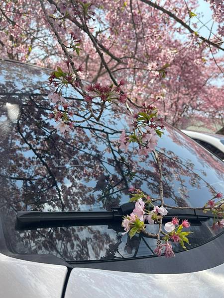 LINE_ALBUM_2023.03.08拉拉山恩愛農場1_230308_12 LINE_ALBUM_2023.03.08拉拉山恩愛農場1_230308_12