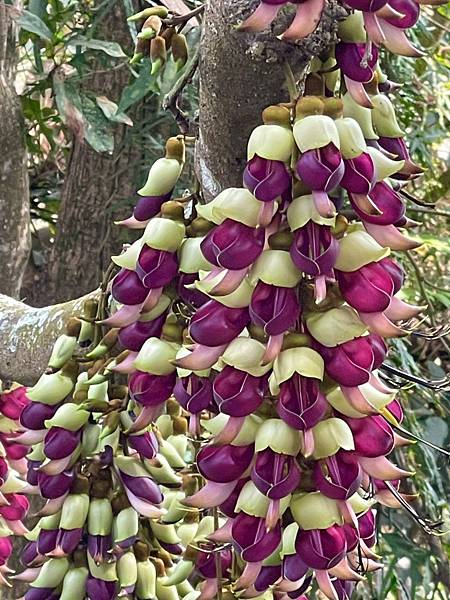 LINE_ALBUM_0321_230321_17 LINE_ALBUM_0321_230321_17