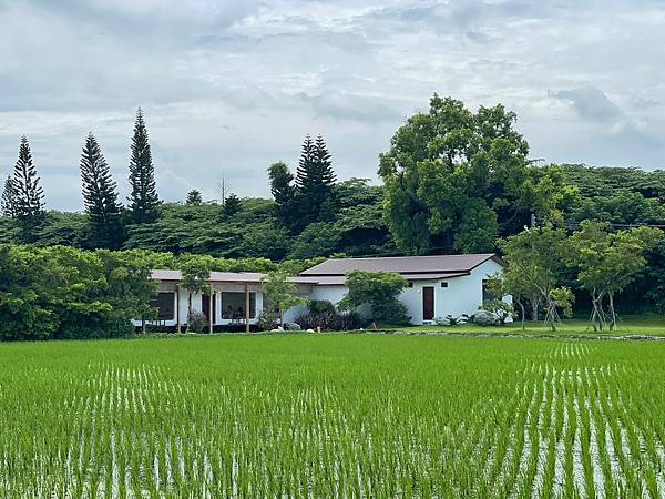 LINE_ALBUM_2023.08.11透明空氣_230811_6