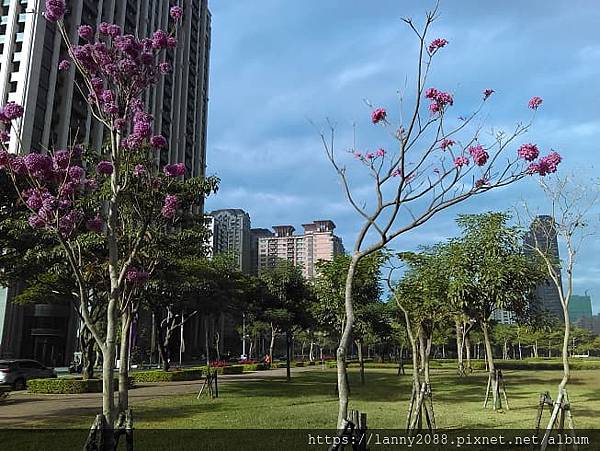 農16凹仔底公園見聞錄...像極了愛情