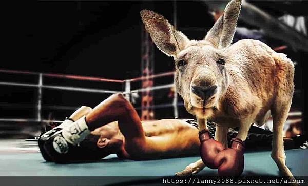 酒店少爺? 酒店少爺?