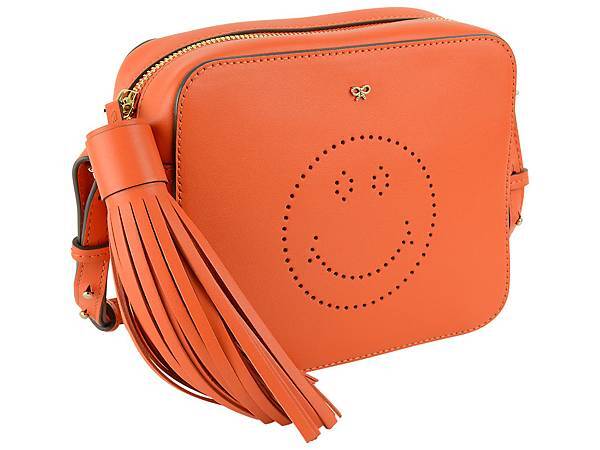 Anya Hindmarch crossbody bag2