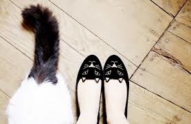 CHARLOTTE OLYMPIA black itty Flat9