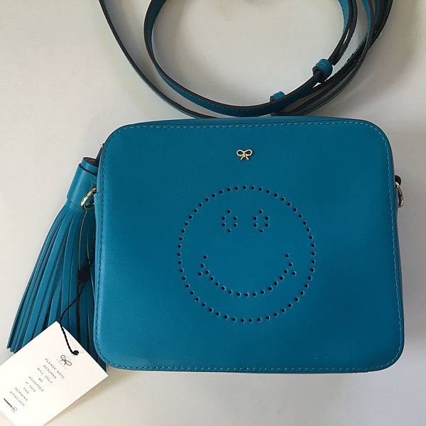 Anya Hindmarch crossbody bag7