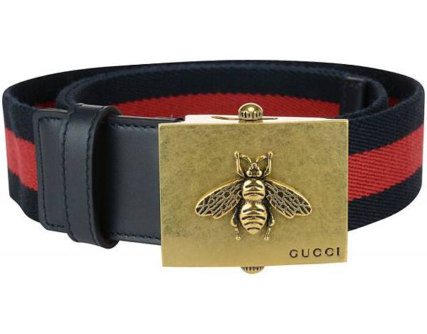 Gucci bee belt8