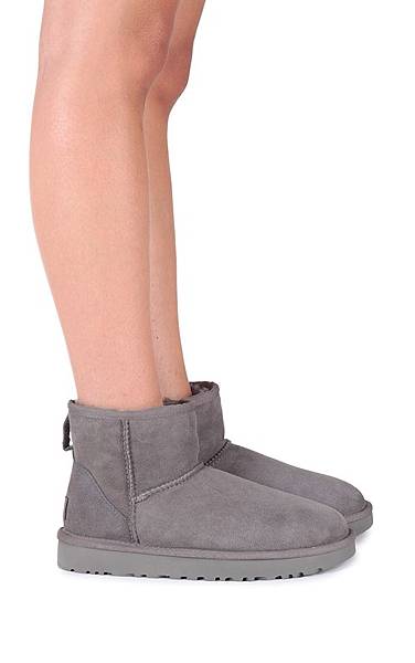 Ugg Australia Boots grey2