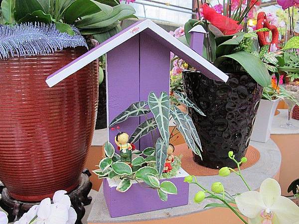 102-0821-1 台中觀摩-萌芳蘭園  (19).jpg