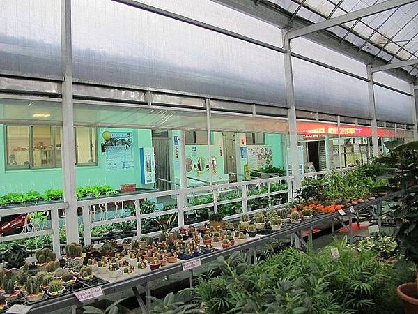 102-0821-2 台中觀摩-中社花市  (5).jpg