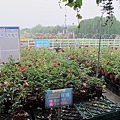 102-0821-2 台中觀摩-中社花市 (15).jpg