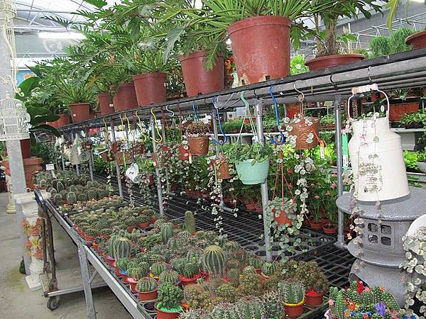 102-0821-4 台中觀摩-芊香園藝  (36).jpg