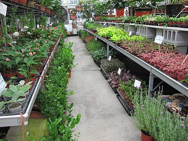 102-0821-4 台中觀摩-芊香園藝  (48).jpg