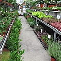 102-0821-4 台中觀摩-芊香園藝 (48).jpg