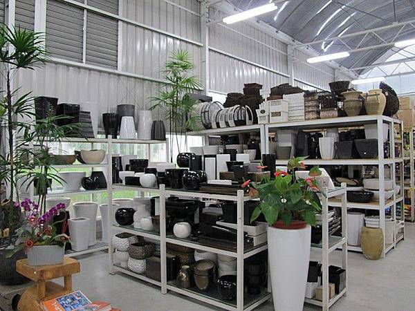 102-0821-5 台中觀摩--喜樹 (2).jpg