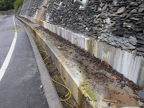 102-0829-1 洛韶 (5)