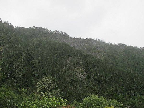 102-0829-2 中橫 (1)