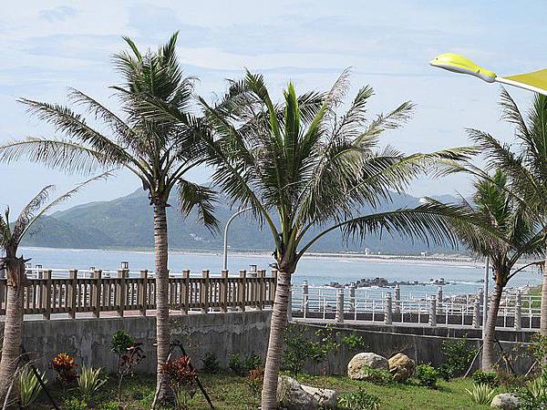 102-0830-1 被浪打到 (15)