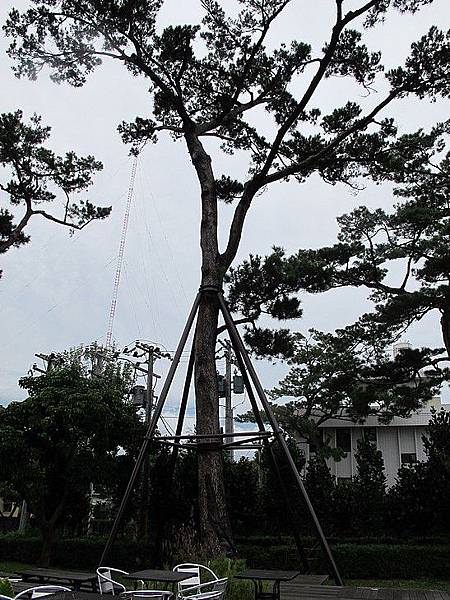 102-0830-4 松園別館 (24)