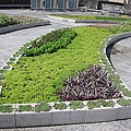 1 綠屋頂-信義行政中心 009.jpg