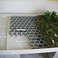 2 綠屋頂材料007 - 薄層綠化基盤材.jpg