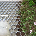2 綠屋頂材料009 - 薄層綠化基盤材.jpg