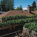 green-roofing-gutters.jpg