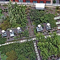 green-roof-vents.jpg