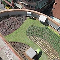 100-0921 綠屋頂示範計畫施工--三(23).jpg