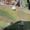 100-0921 綠屋頂示範計畫施工--三(25).jpg