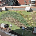 100-0921 綠屋頂示範計畫施工--三(27).jpg