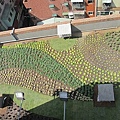 100-0921 綠屋頂示範計畫施工--三(28).jpg