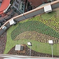 100-0921 綠屋頂示範計畫施工--三(35).jpg