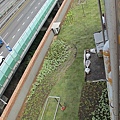 100-0921 綠屋頂示範計畫施工--三(38).jpg