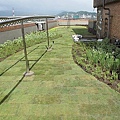 100-0921 綠屋頂示範計畫施工--三(47).jpg
