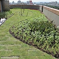 100-0921 綠屋頂示範計畫施工--三(50).jpg