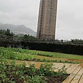100-0926 新北市綠屋頂示範計畫施(2).jpg
