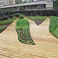 100-0926 新北市綠屋頂示範計畫施(5).jpg