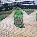 100-0926 新北市綠屋頂示範計畫施(6).jpg