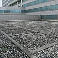 2-104-0121 工研院綠屋頂 (2).jpg