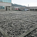 2-104-0121 工研院綠屋頂 (6).jpg