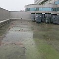 2-104-0829 工研院綠屋頂 (20).jpg