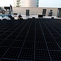 2-104-0911 工研院綠屋頂 (6).jpg
