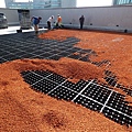 2-104-0912 工研院綠屋頂 (6).jpg