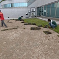 2-104-0926 工研院綠屋頂 (10).jpg